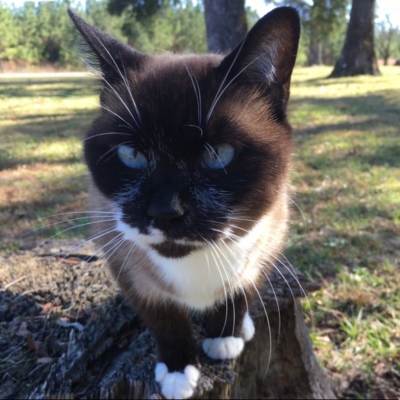 Meet your Posher, Mary - Picture 12 of 16